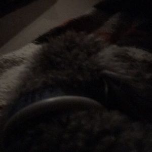 Meet your Posher, Barbara